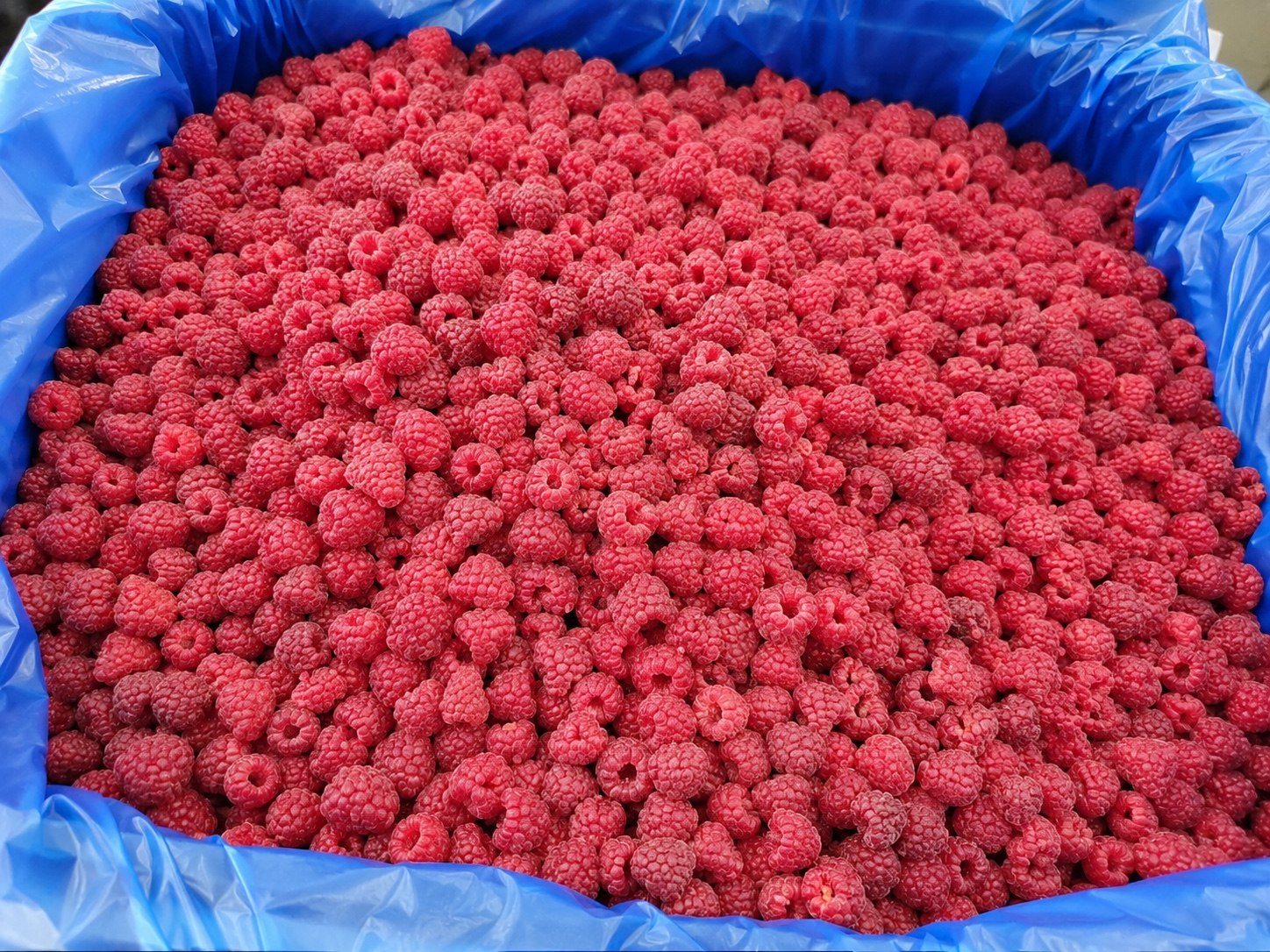 Малина заморожена